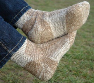 Armadillo Merino 4